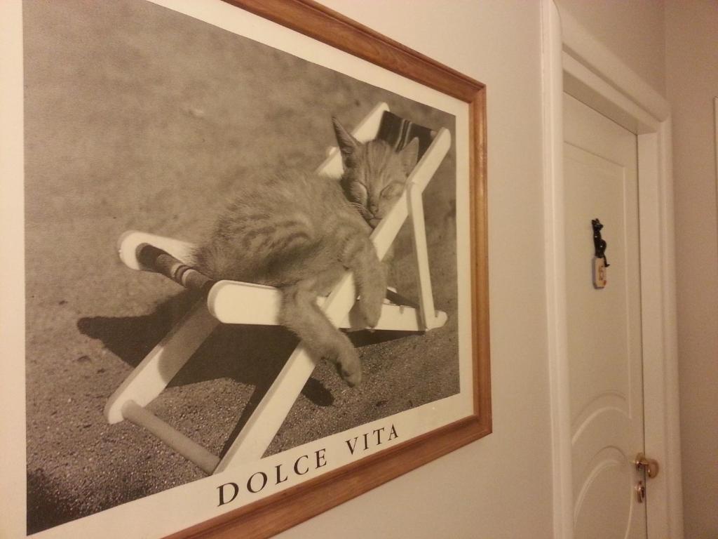 Hotel Il Gatto Rapallo Dış mekan fotoğraf
