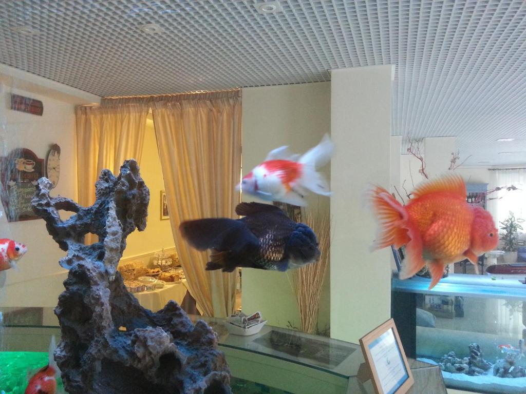 Hotel Il Gatto Rapallo Dış mekan fotoğraf